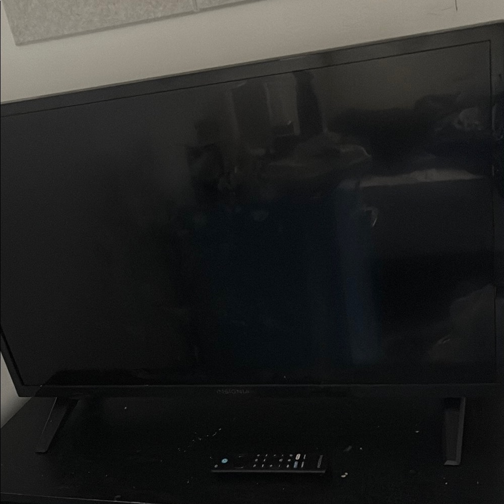 Insignia Black Flat Screen TV